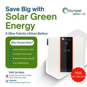 Felicity 5KWH/48V Lithium ion Phosphate Battery – LPBF48100 (5 Years Warranty)